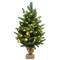 Costway 2ft. Pre‑Lit Tabletop Fir Artificial Christmas Tree with Timer LED Lights